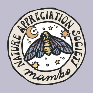 Mambo title 3